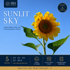 Sunflower Photography Print – Sunlit Sky – Printable Botanical Wall Art