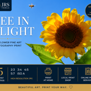 Sunflower & Bee Photography Print – Bee in Flight – Printable Botanical Wall Art